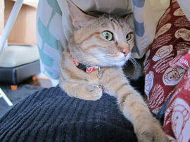 IMG07251.jpg