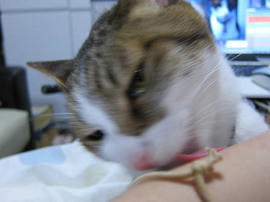 IMG07254.jpg