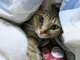 IMG07255.jpg