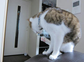 IMG07263.jpg