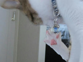 IMG07264.jpg
