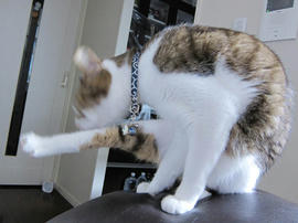 IMG07265.jpg