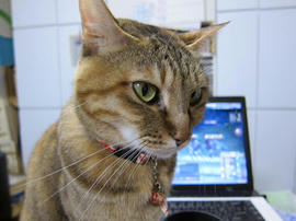 IMG07266.jpg