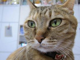IMG07268.jpg