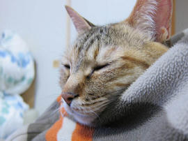 IMG07276.jpg