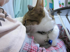 IMG07271.jpg