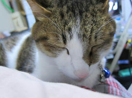 IMG07273.jpg