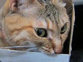 IMG07279.jpg
