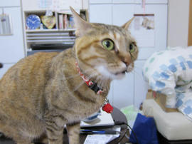 IMG07281.jpg
