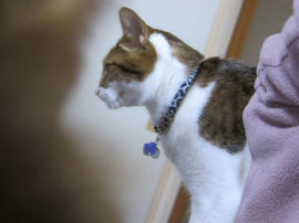 IMG07285.jpg