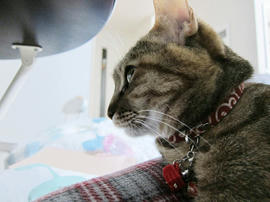 IMG07291.jpg