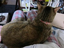 IMG07292.jpg