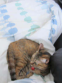 IMG07293.jpg