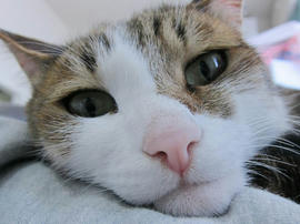 IMG07306.jpg