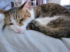 IMG07307.jpg