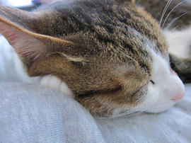 IMG07308.jpg