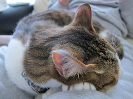 IMG07309.jpg