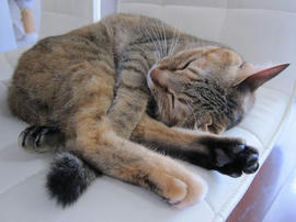 IMG07312.jpg