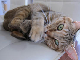 IMG07313.jpg