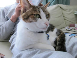 IMG07314.jpg