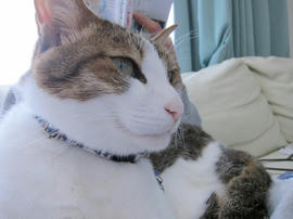 IMG07316.jpg