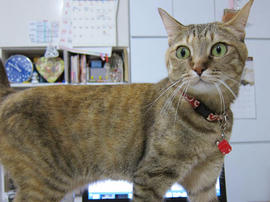 IMG07318.jpg
