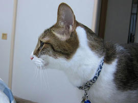 IMG07319.jpg
