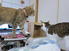 IMG07321.jpg