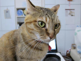 IMG07333.jpg