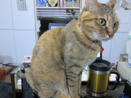 IMG07334.jpg