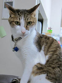 IMG07335.jpg