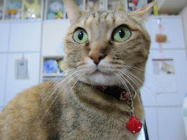 IMG07337.jpg