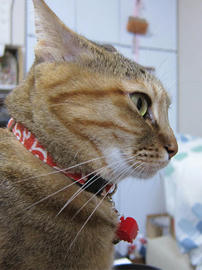 IMG07339.jpg
