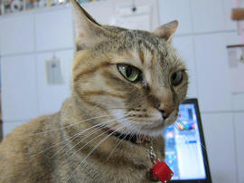IMG07338.jpg