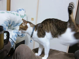 IMG07340.jpg