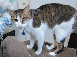 IMG07341.jpg