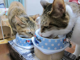 IMG07344.jpg