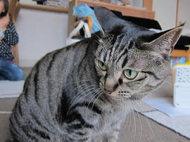IMG07329.jpg