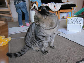 IMG07331.jpg