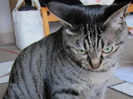 IMG07332.jpg