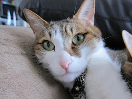 IMG07347.jpg