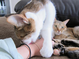 IMG07350.jpg