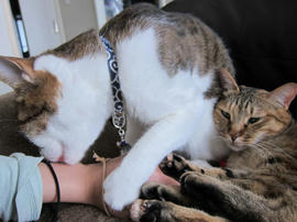 IMG07351.jpg