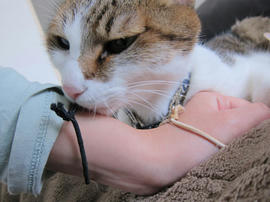 IMG07352.jpg