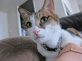 IMG07353.jpg