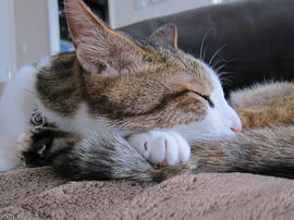 IMG07355.jpg