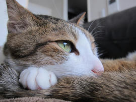 IMG07356.jpg