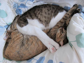 IMG07358.jpg