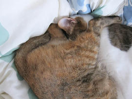 IMG07359.jpg