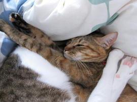 IMG07360.jpg